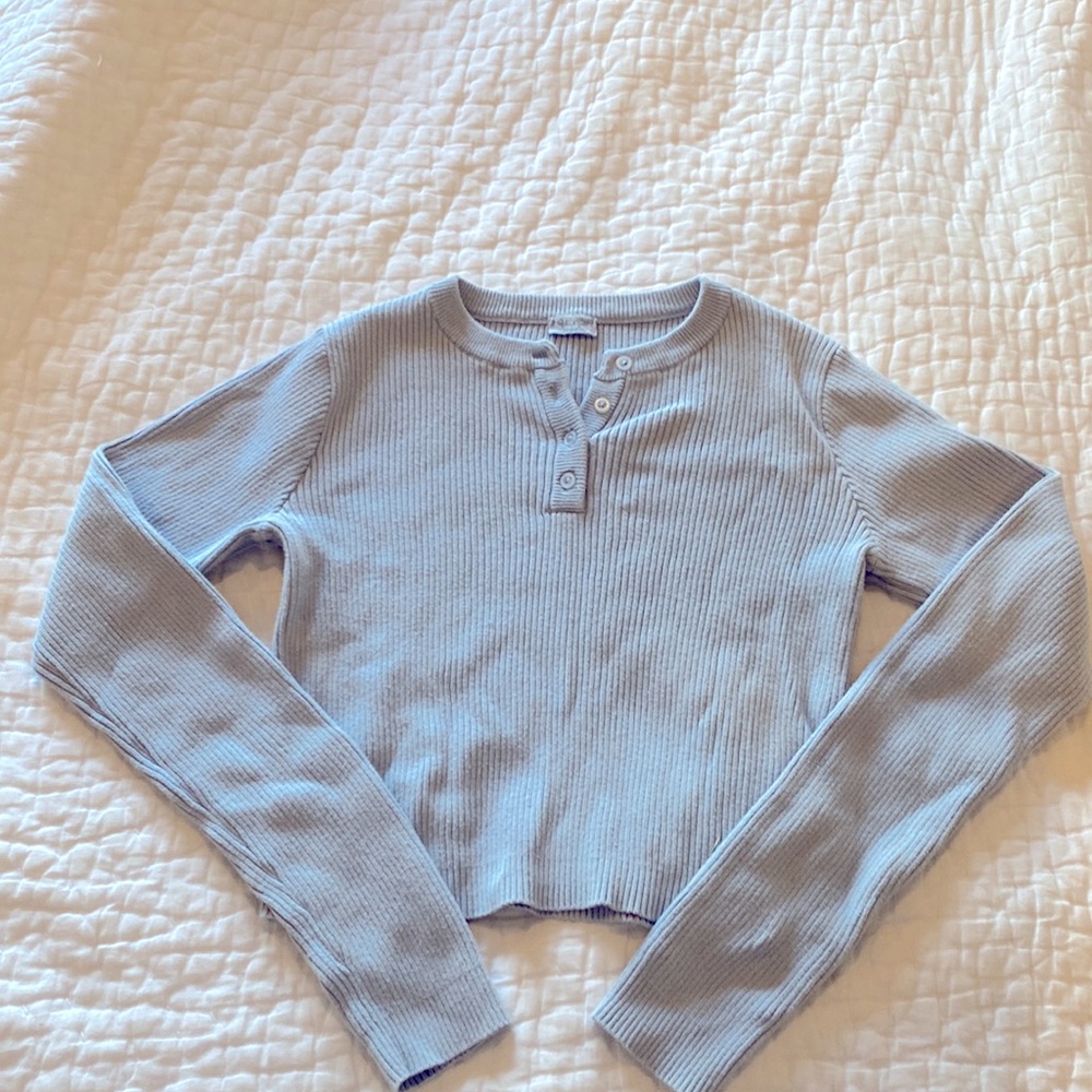 John Galt/Brandy Melville cropped ribbed sweater